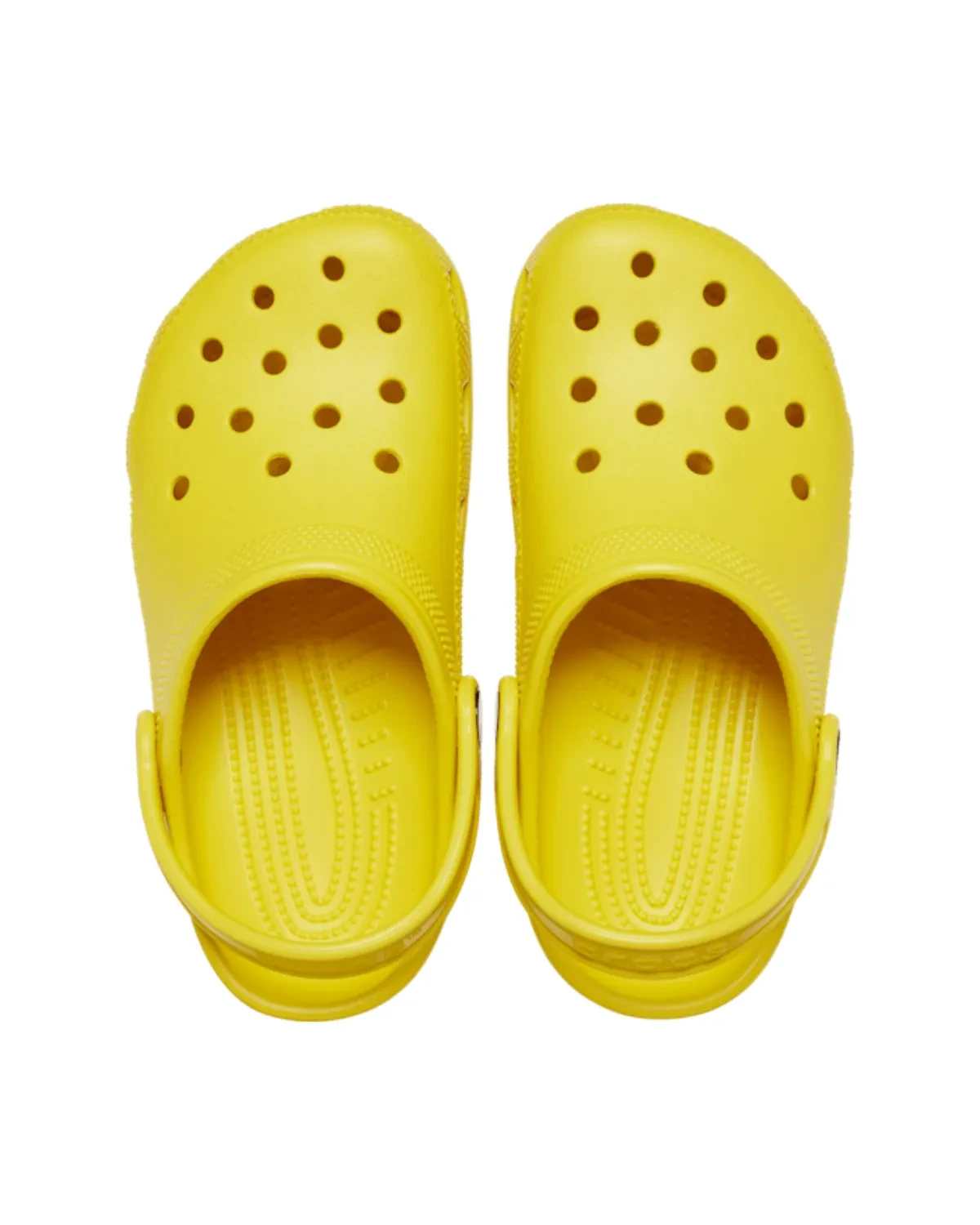 CLASSIC CLOG SUNFLOWER