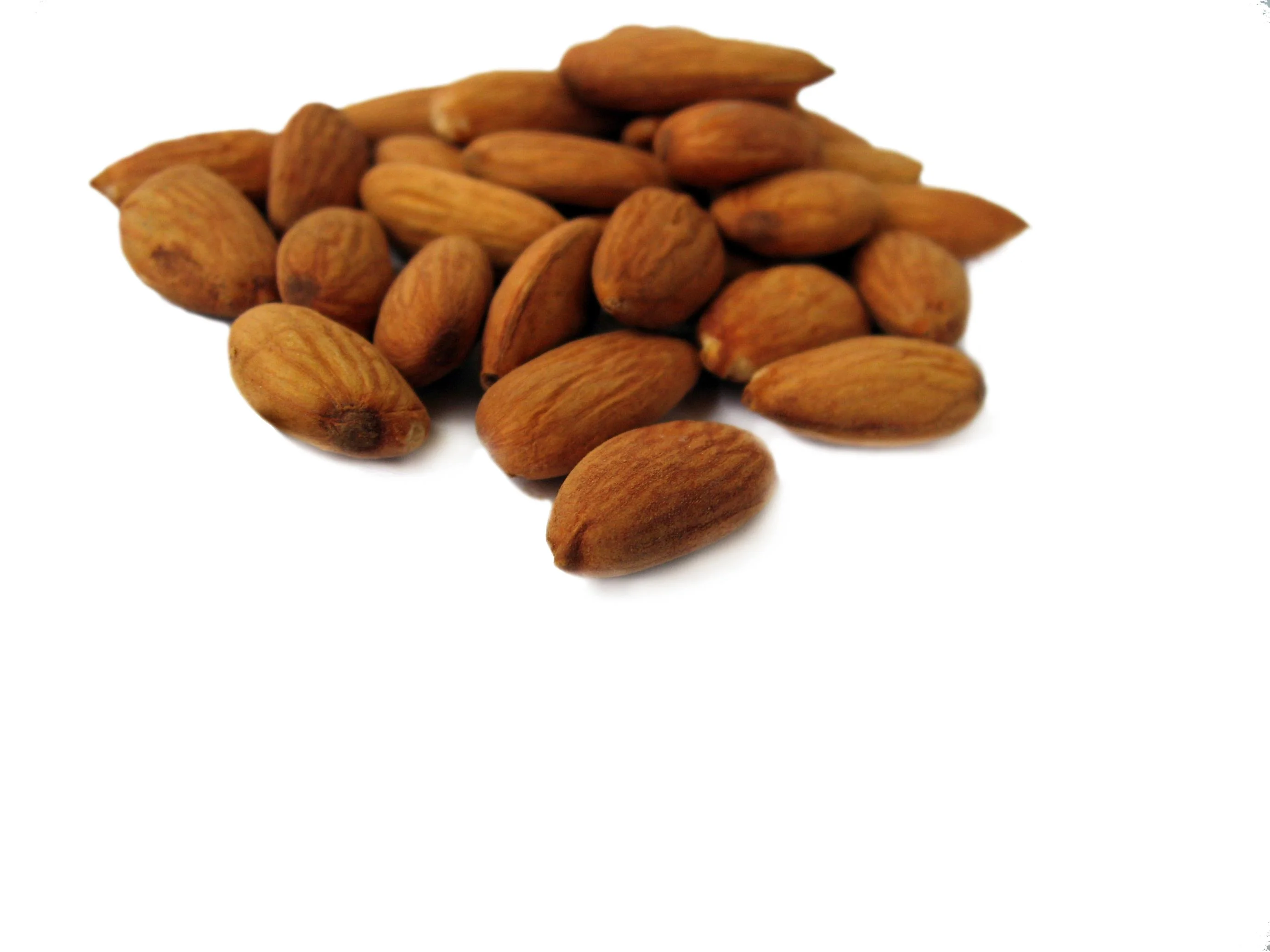 OFFICE WEAR SERIES 1064- BLACK