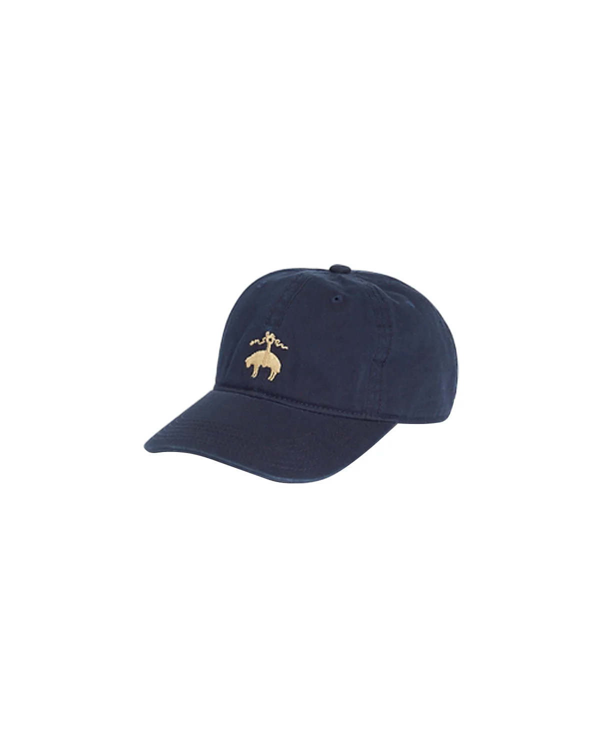 NAVY CAP