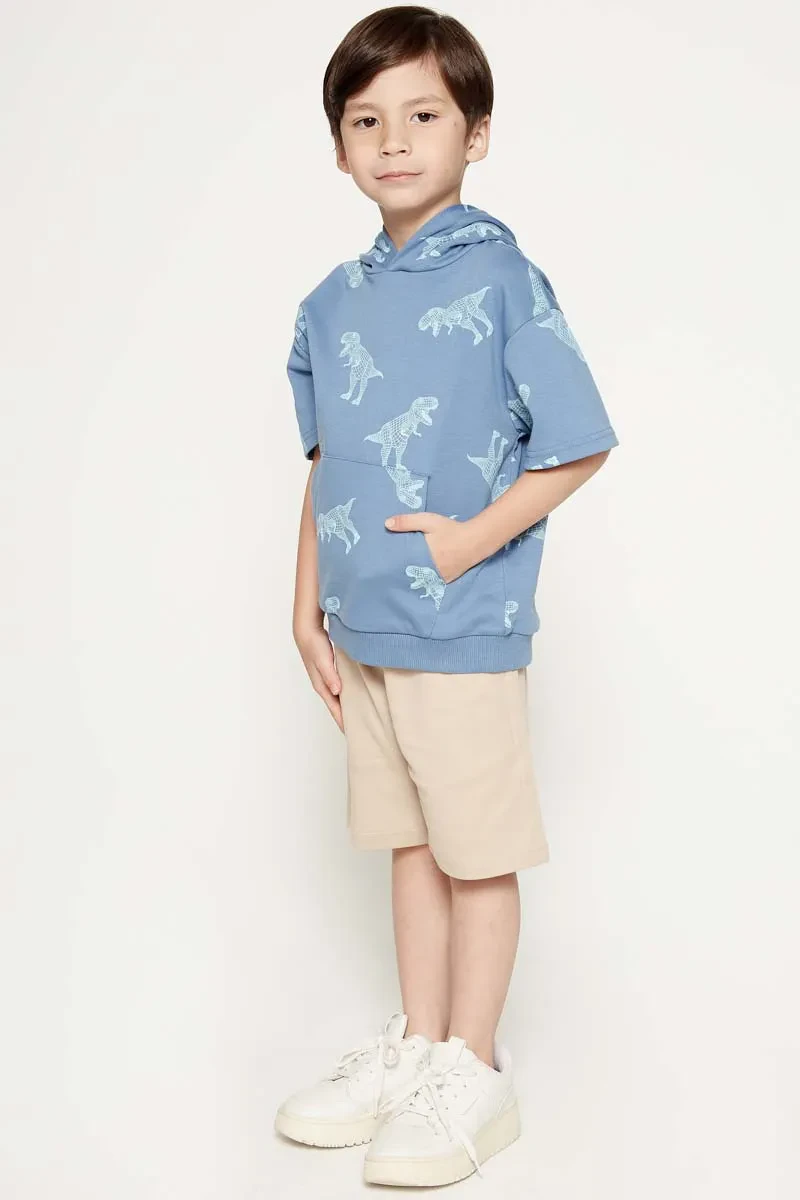 PDI CASUAL HOODIES SHORT SLEEVE BOY HOODIE BLUE