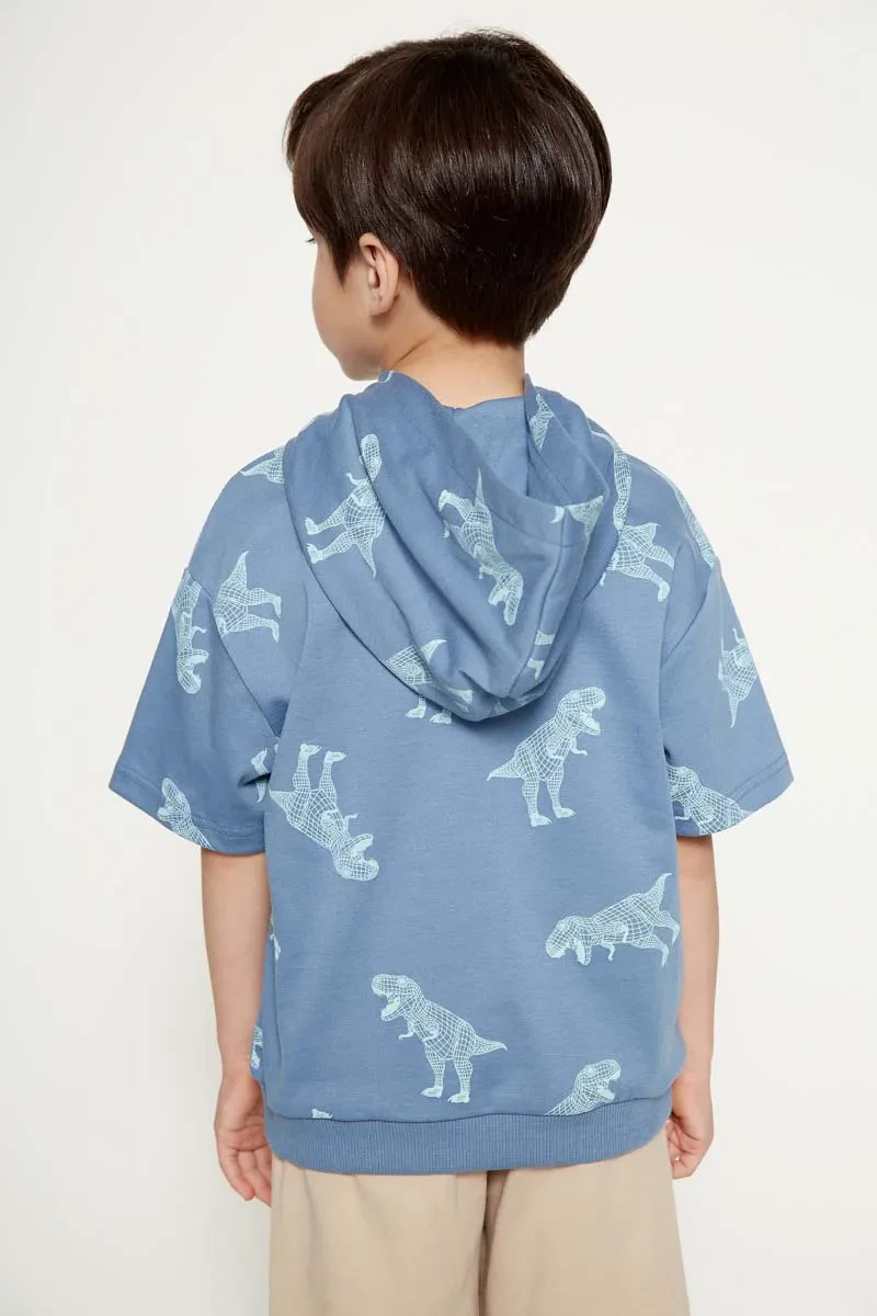 PDI CASUAL HOODIES SHORT SLEEVE BOY HOODIE BLUE