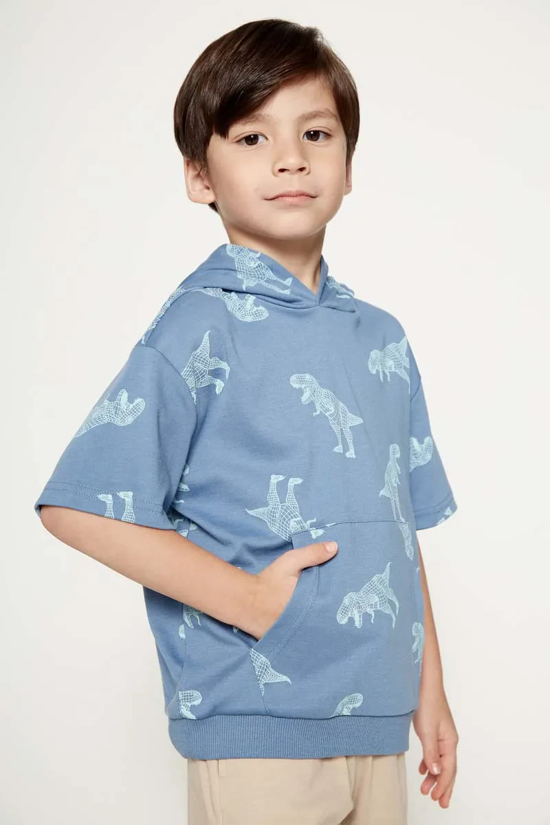 PDI CASUAL HOODIES SHORT SLEEVE BOY HOODIE BLUE