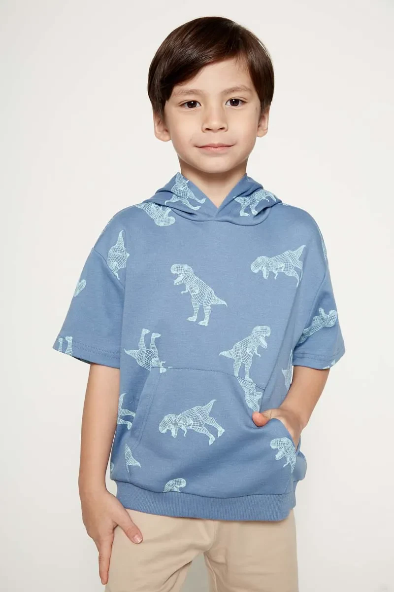 PDI CASUAL HOODIES SHORT SLEEVE BOY HOODIE BLUE