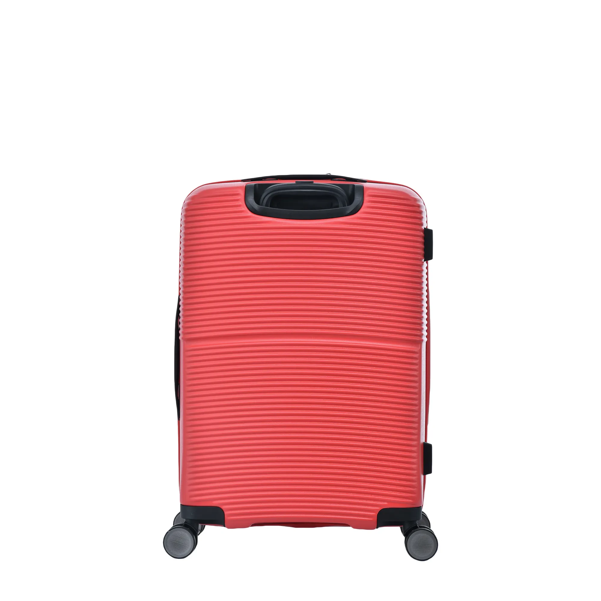 AVANTI NATURE  24"