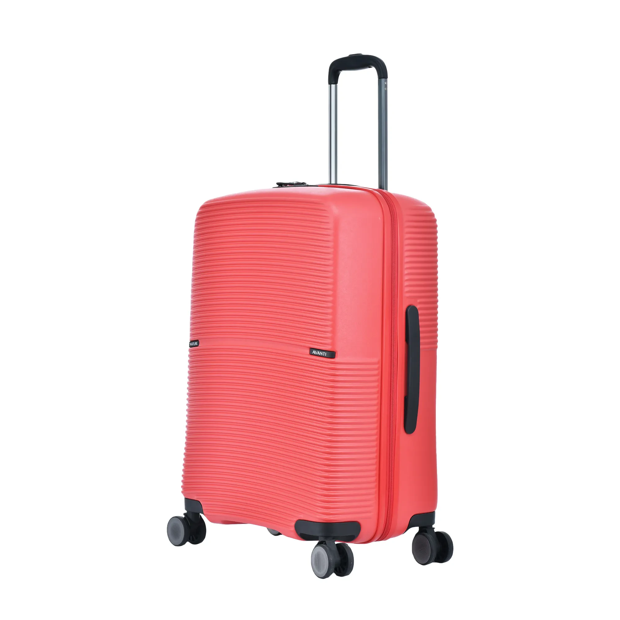 AVANTI NATURE  24"