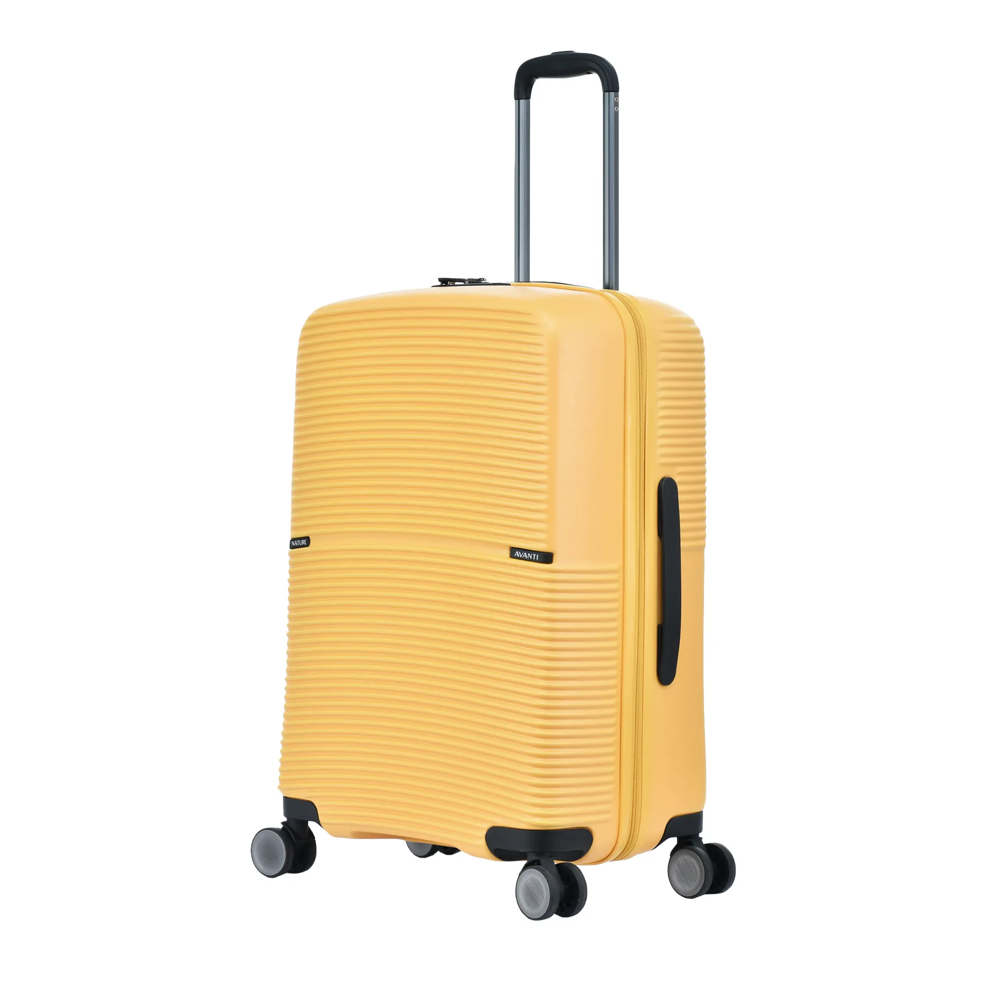 AVANTI NATURE  24"