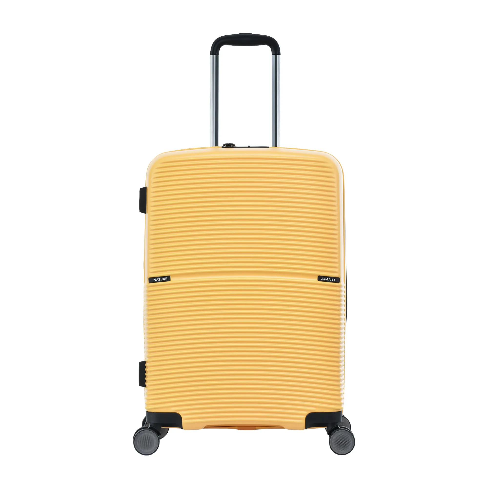 AVANTI NATURE  24"