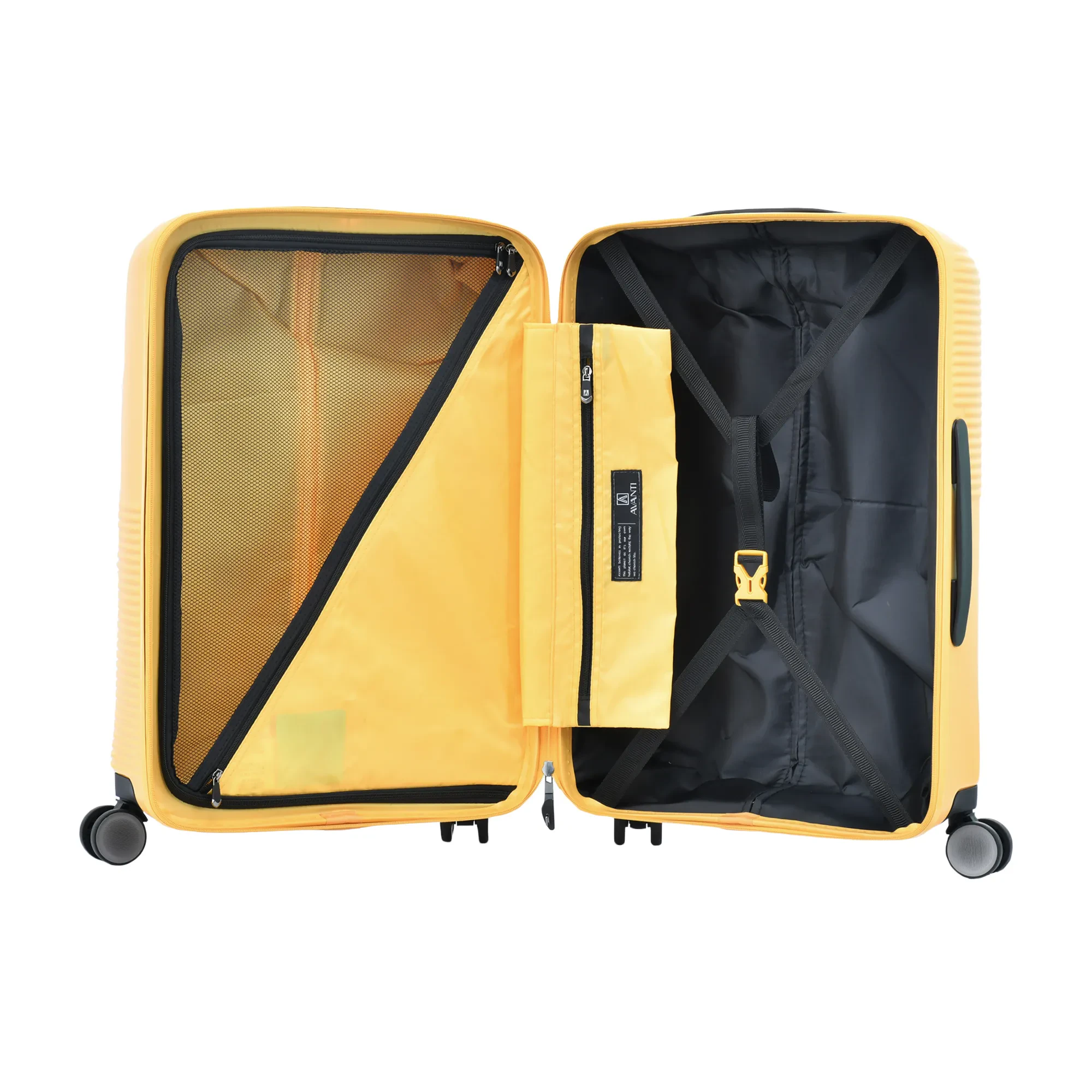 AVANTI NATURE  24"