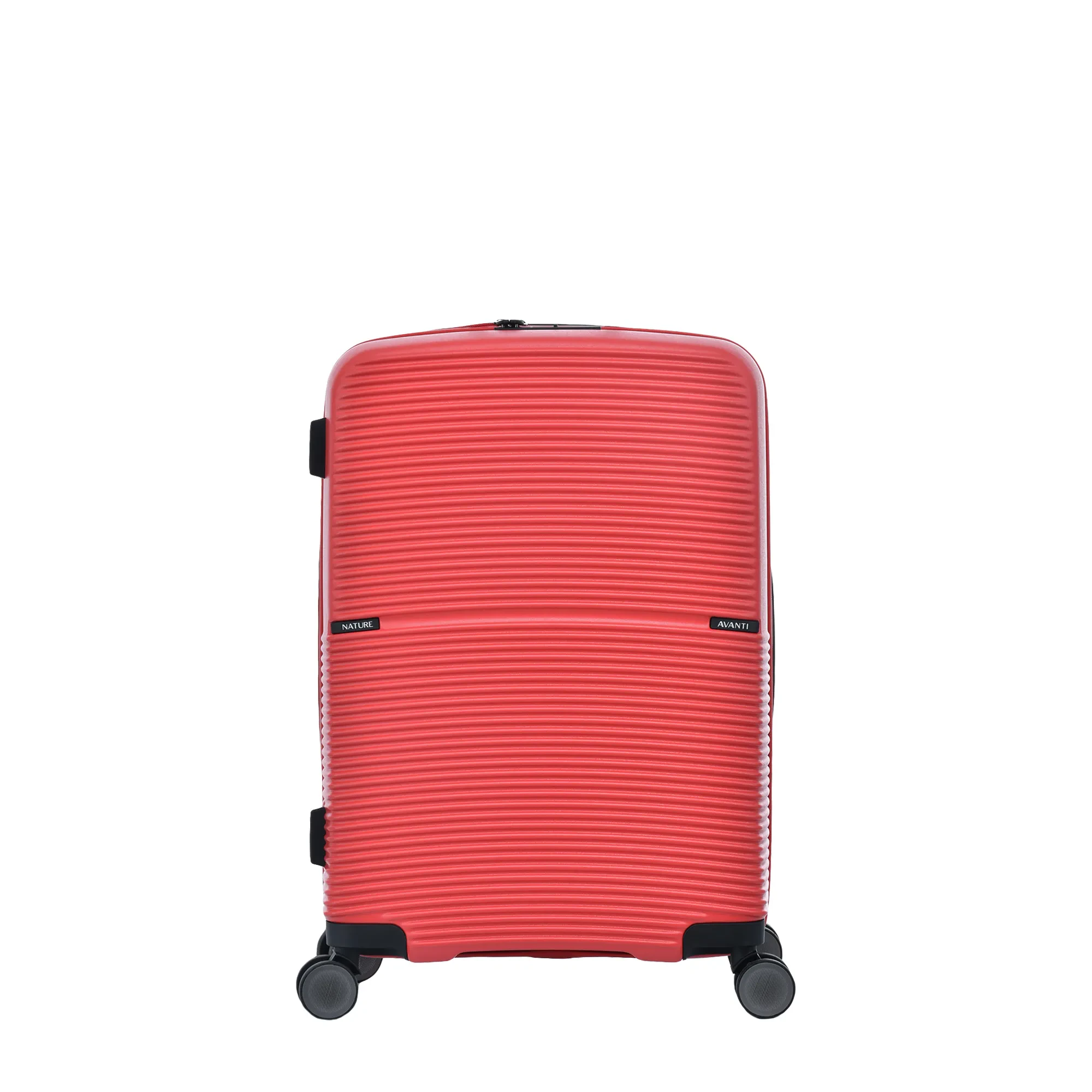 AVANTI NATURE  24"
