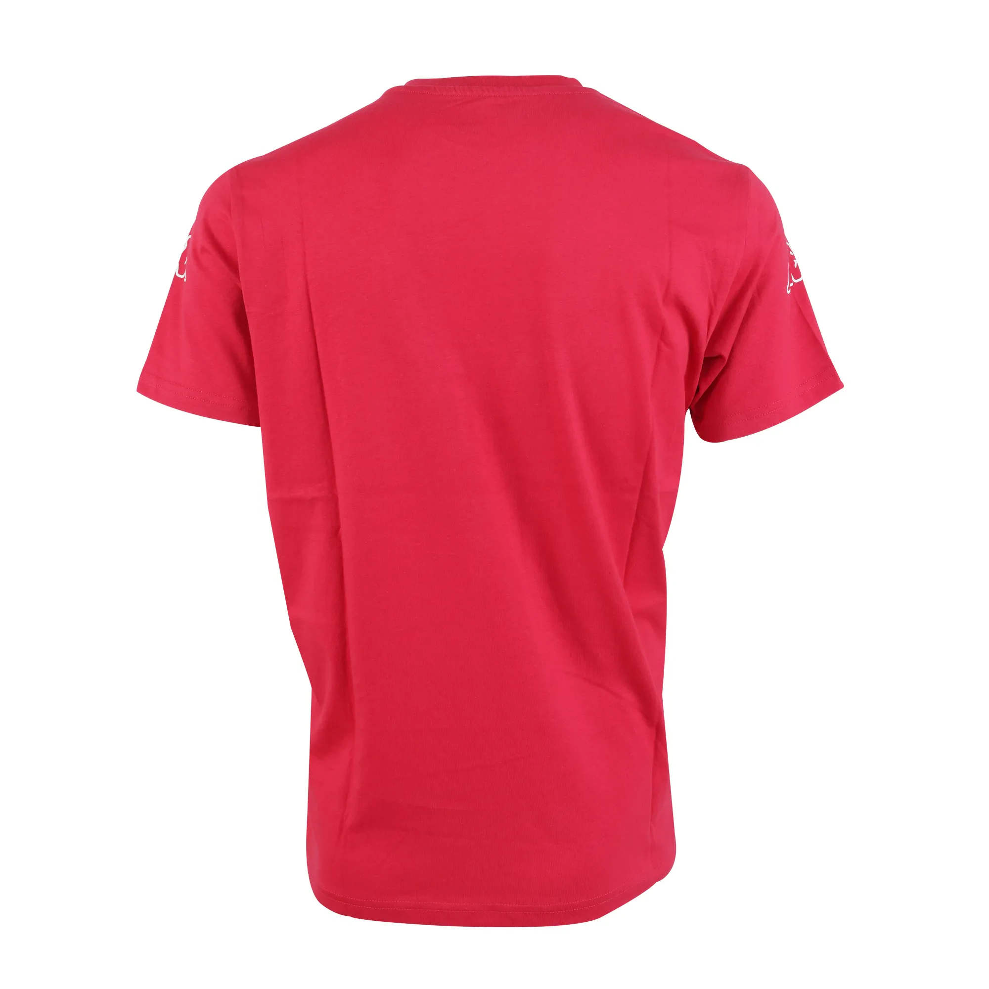 MALE T-SHIRT - KP3TS005 DKRD