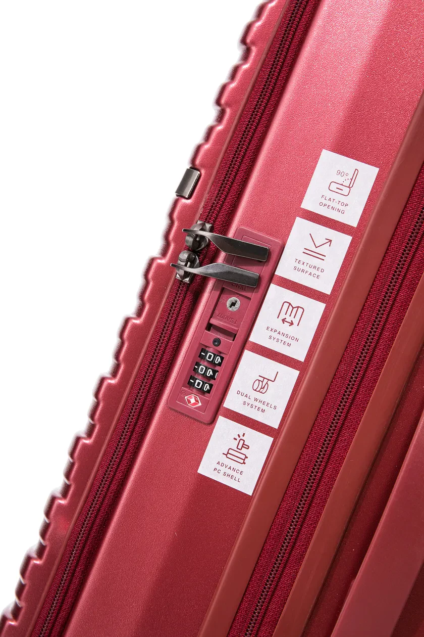 [B105] BARRY SMITH HARD CASE 28"