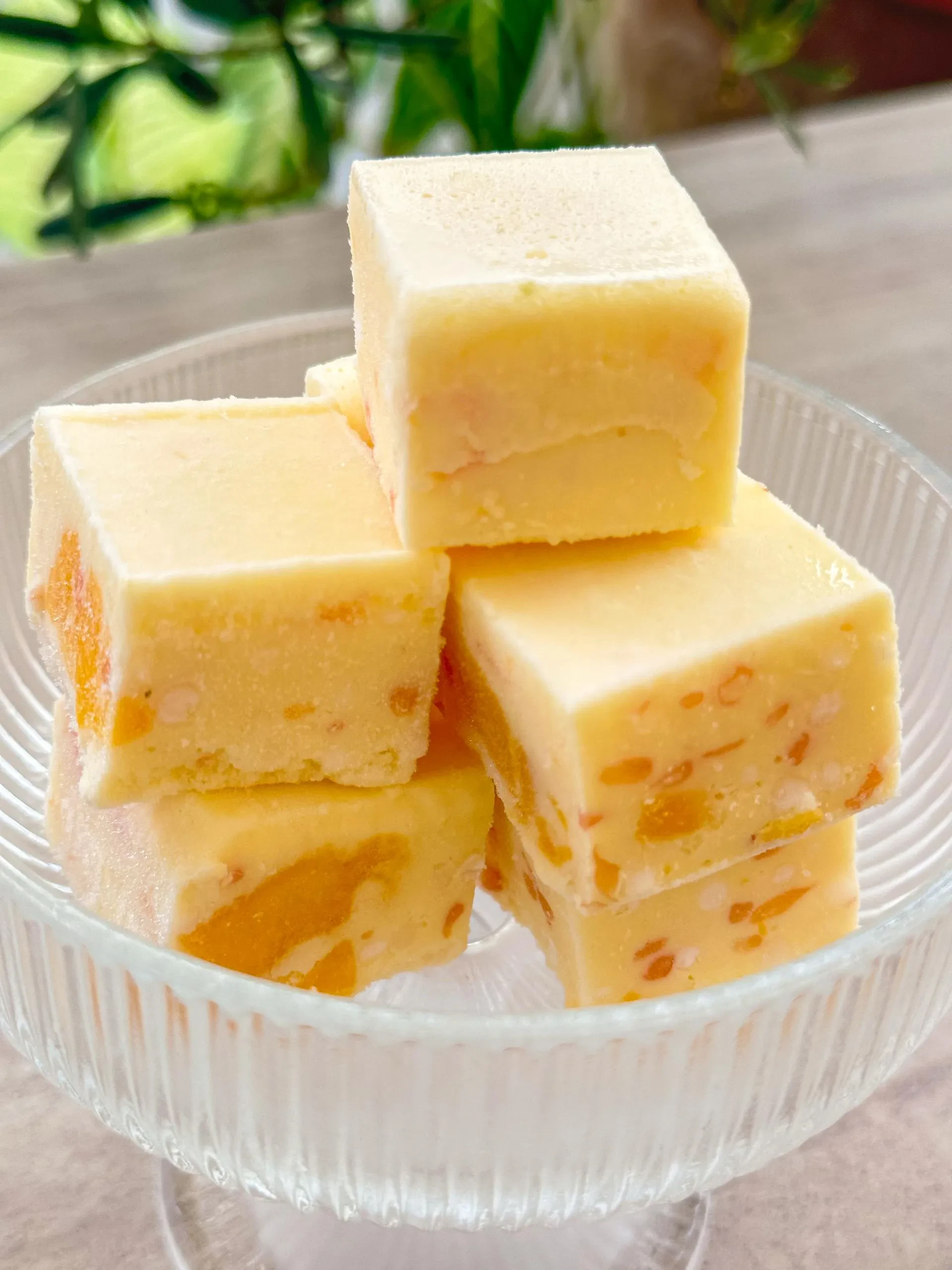 [9 CUBES] FROZEN YOGURT ICE CREAM CUBE