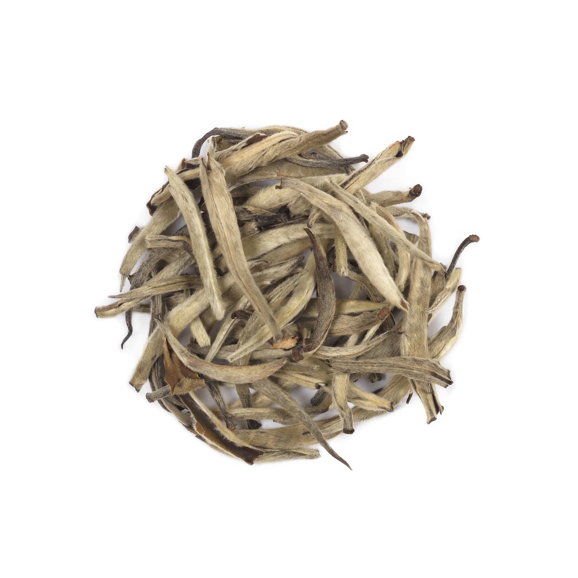 3.78L PORTABLE TANGKI PRO