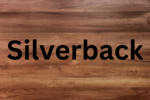 SILVERBACK