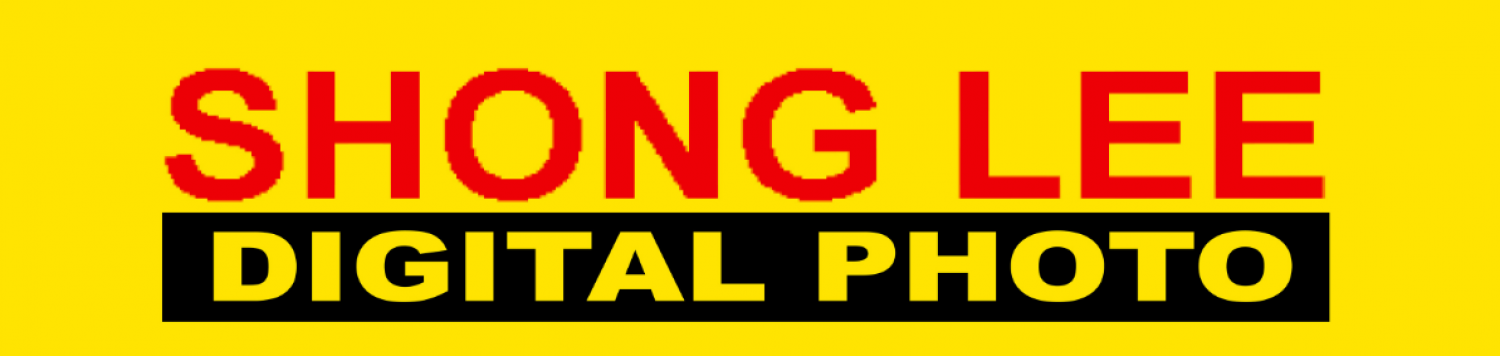SHONG LEE PHOTO