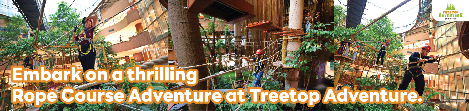 TREETOP ADVENTURE